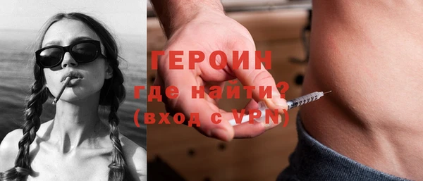 сатива Беломорск