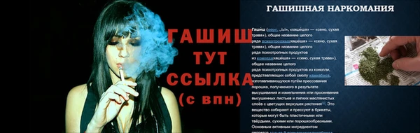 сатива Беломорск