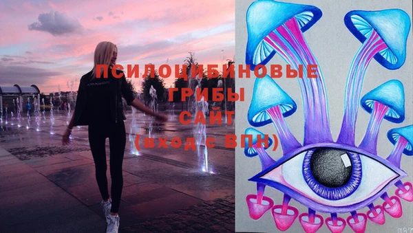 сатива Беломорск