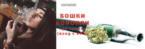 дурь Белокуриха