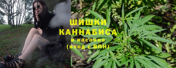дурь Белокуриха